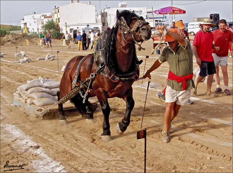 Foto de Ribera de Cabanes (Castelló), España