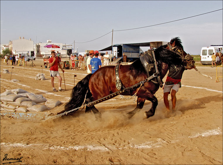 Foto de Ribera de Cabanes (Castelló), España