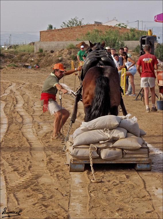 Foto de Ribera de Cabanes (Castelló), España