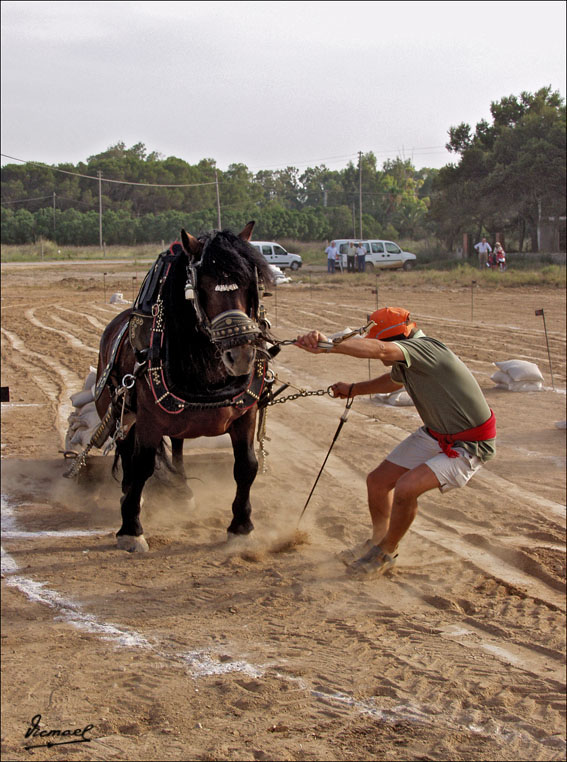 Foto de Ribera de Cabanes (Castelló), España