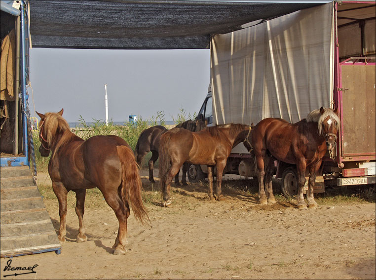 Foto de Ribera de Cabanes (Castelló), España