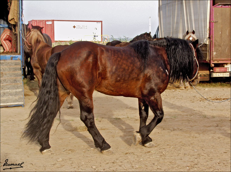 Foto de Ribera de Cabanes (Castelló), España