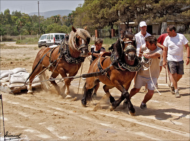 Foto de Ribera de Cabanes (Castelló), España