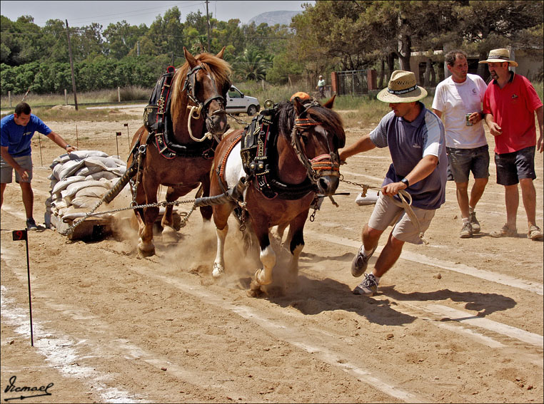 Foto de Ribera de Cabanes (Castelló), España