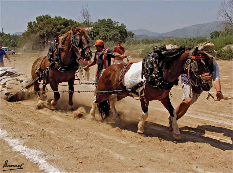 Foto de Ribera de Cabanes (Castelló), España