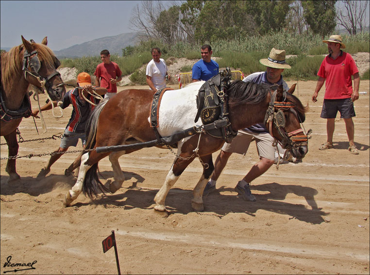 Foto de Ribera de Cabanes (Castelló), España