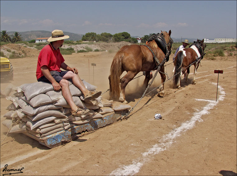 Foto de Ribera de Cabanes (Castelló), España