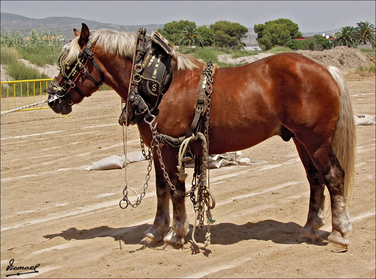 Foto de Ribera de Cabanes (Castelló), España