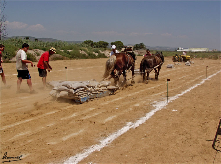 Foto de Ribera de Cabanes (Castelló), España