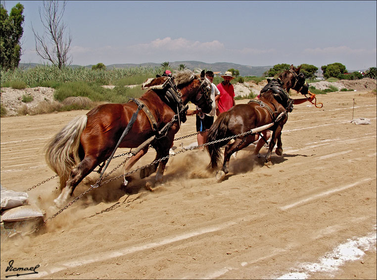 Foto de Ribera de Cabanes (Castelló), España