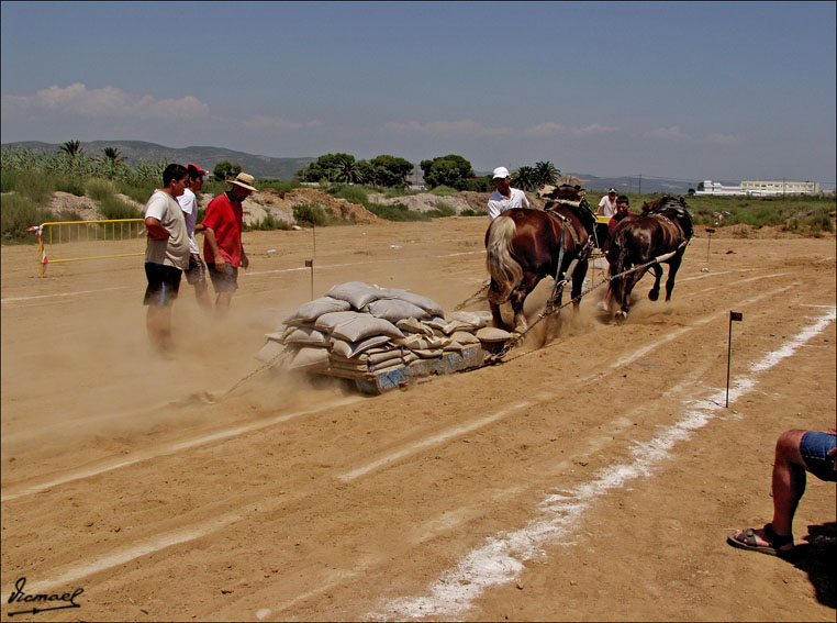 Foto de Ribera de Cabanes (Castelló), España