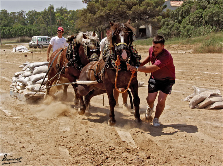Foto de Ribera de Cabanes (Castelló), España