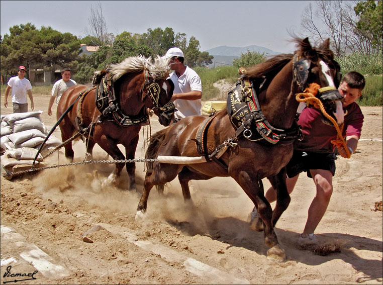 Foto de Ribera de Cabanes (Castelló), España