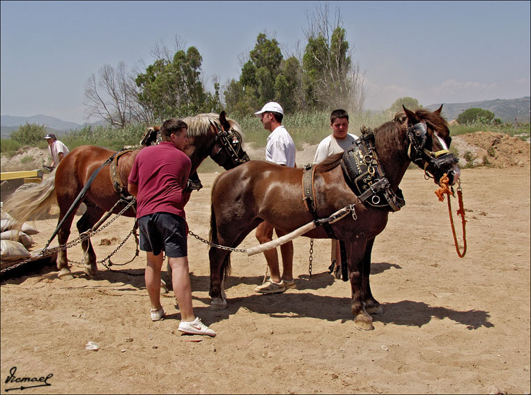 Foto de Ribera de Cabanes (Castelló), España