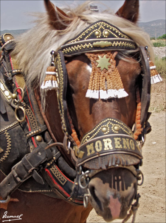 Foto de Ribera de Cabanes (Castelló), España
