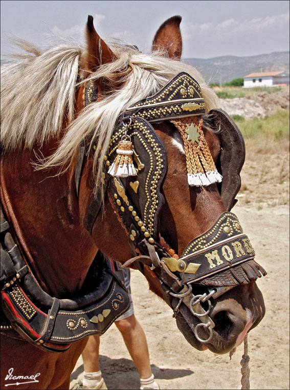 Foto de Ribera de Cabanes (Castelló), España