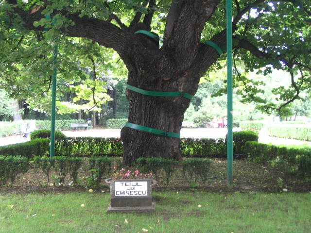 Foto de Iasi, Rumania