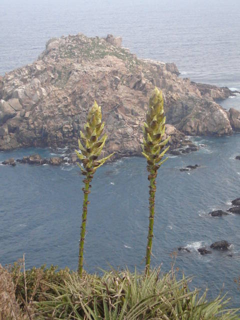 Foto de VALPARAISO, Chile