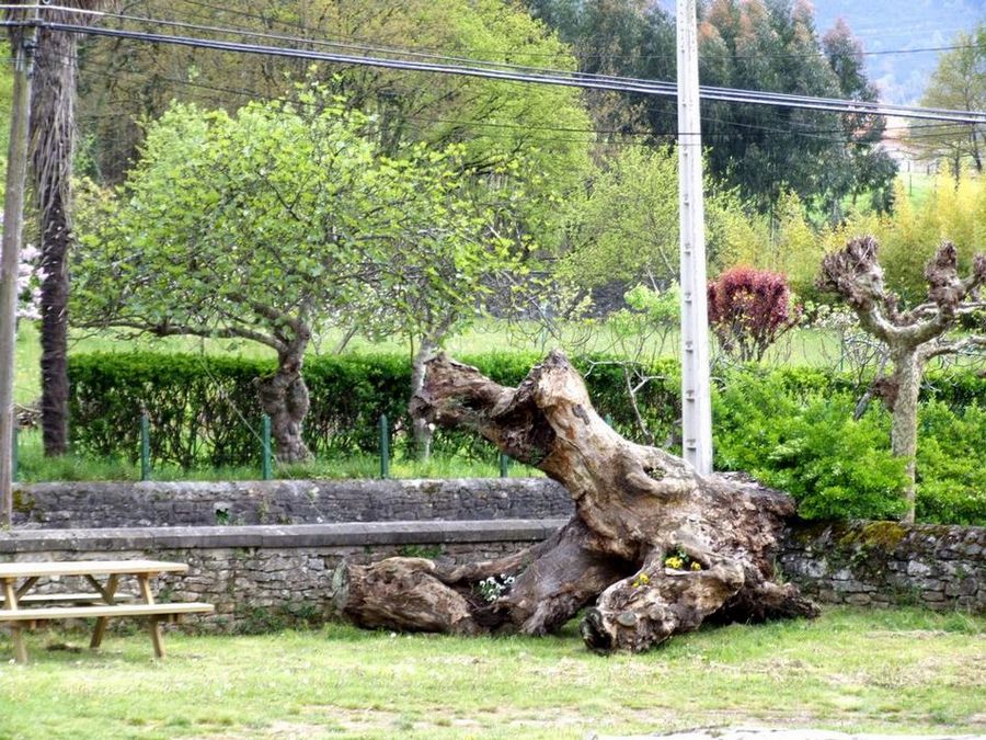 Foto de Villaverde de Trucíos (Cantabria), España