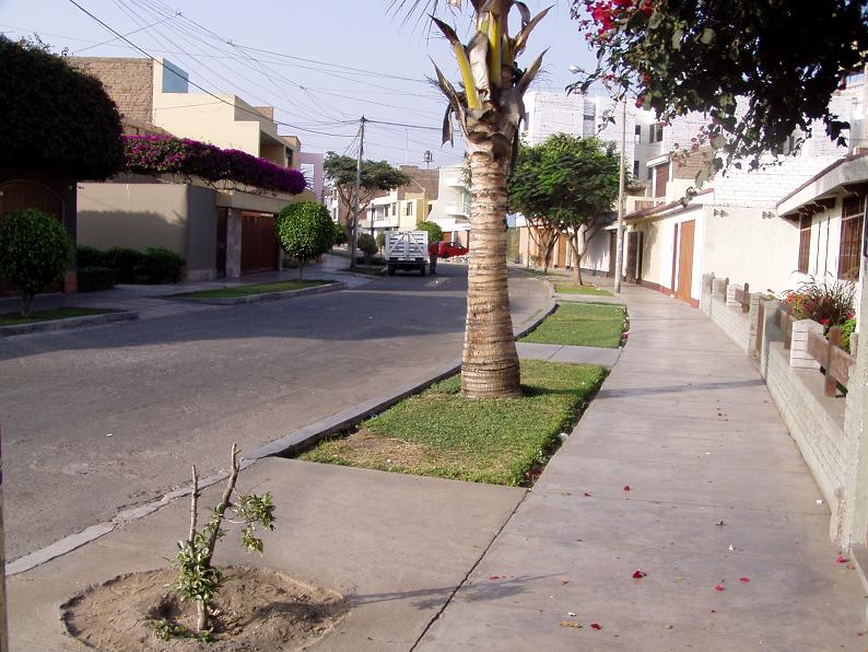 Foto de Trujillo, Perú