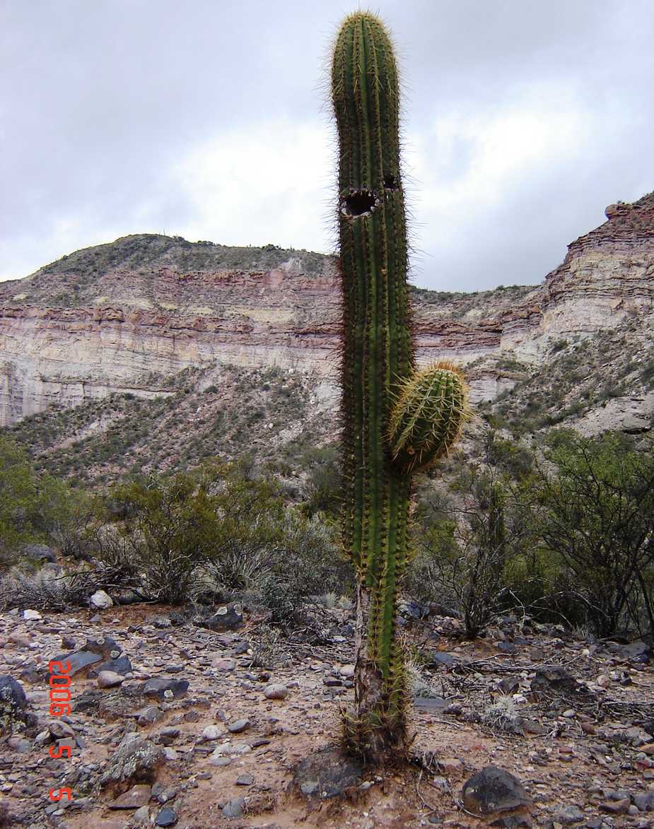 Foto de El Chiflón, La Rioja., Argentina