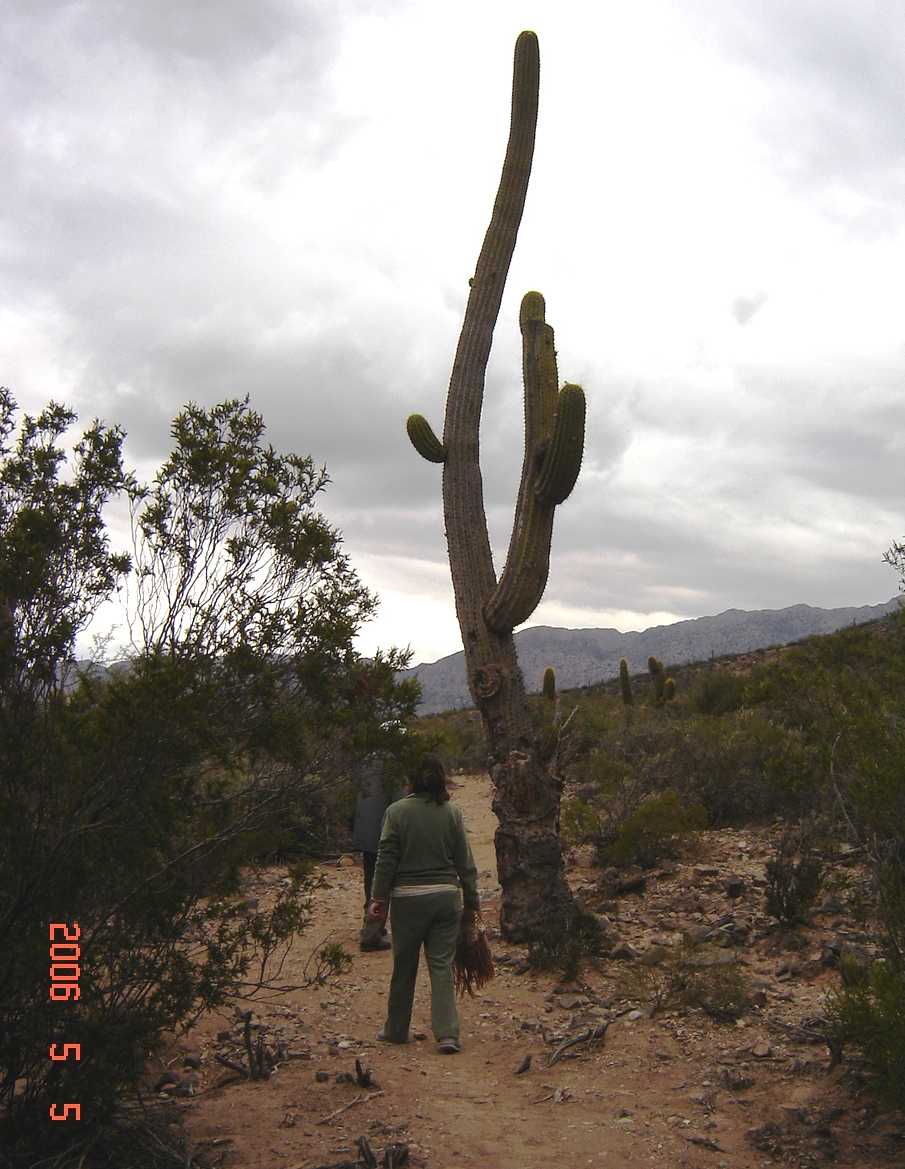 Foto de El Chiflón, La Rioja., Argentina