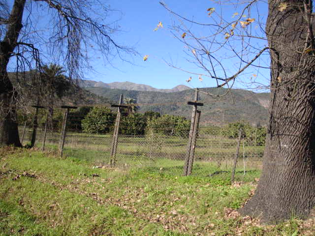 Foto de LIMACHE, Chile