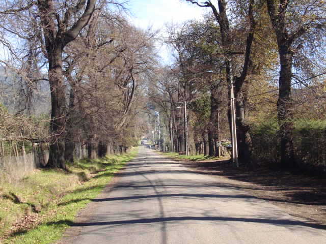 Foto de LIMACHE, Chile