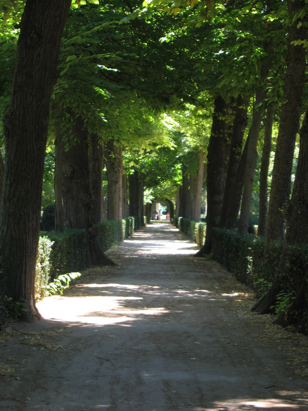 Foto de Madrid (Comunidad de Madrid), España