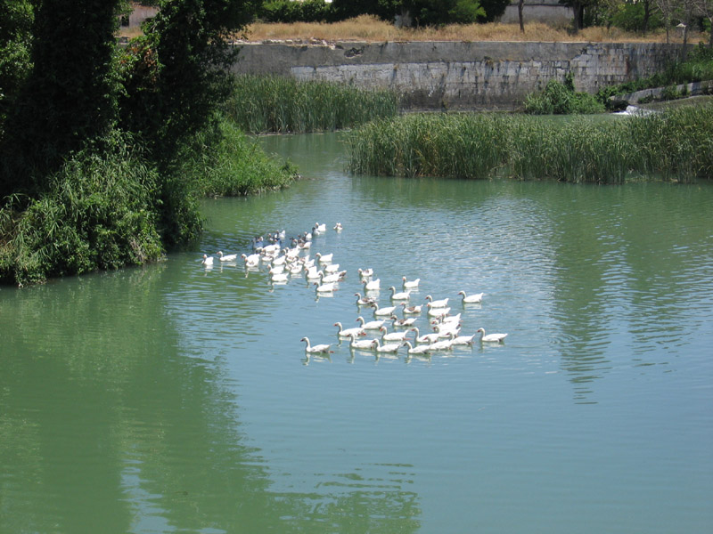 Foto de Madrid (Comunidad de Madrid), España