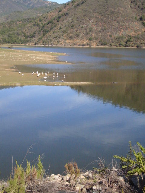 Foto de limache, Chile