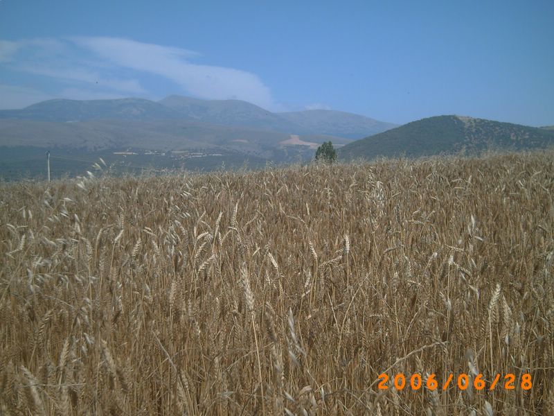 Foto de Ólvega (Soria), España