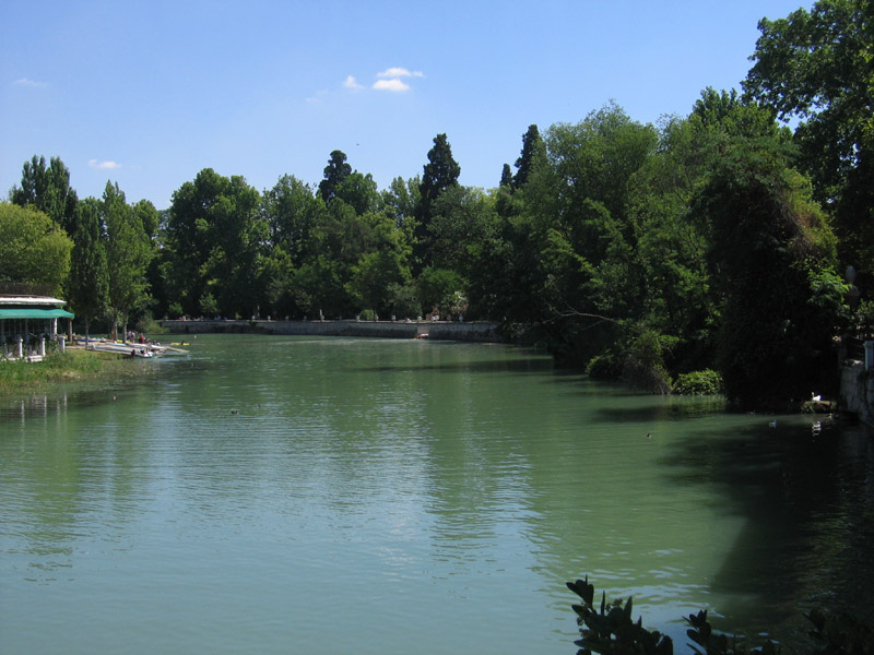 Foto de Madrid (Comunidad de Madrid), España