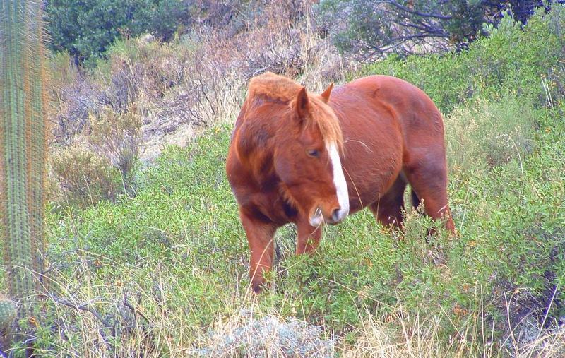 Foto de Santiago, Chile