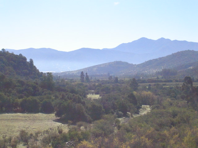 Foto de LIMACHE, Chile
