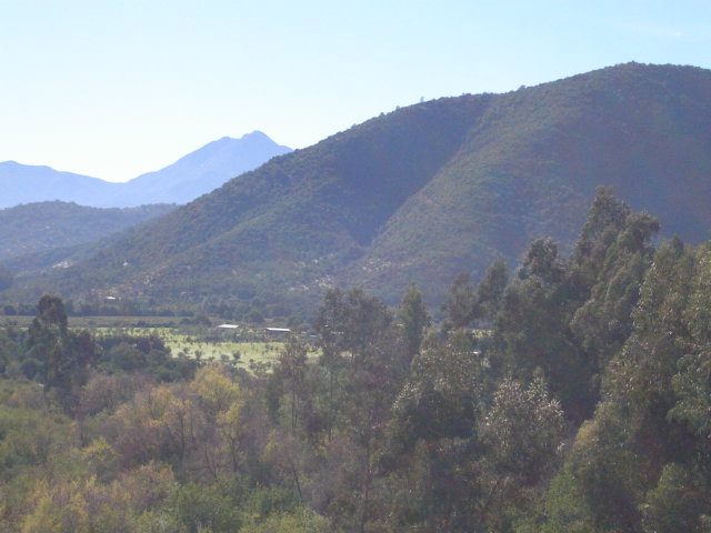Foto de LIMACHE, Chile
