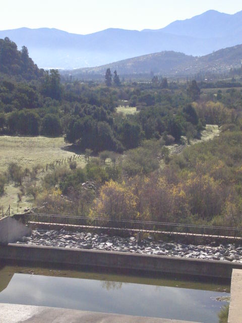 Foto de LIMACHE, Chile