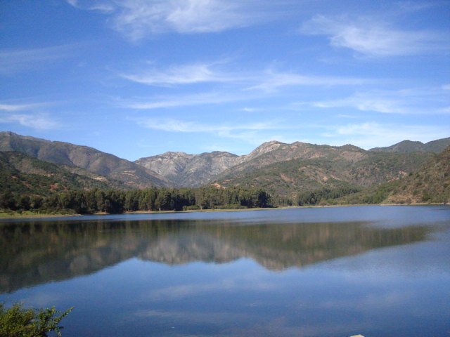 Foto de LIMACHE, Chile