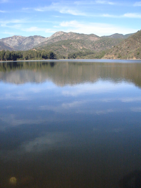 Foto de LIMACHE, Chile