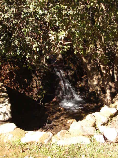 Foto de LIMACHE, Chile