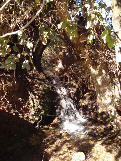Foto de LIMACHE, Chile