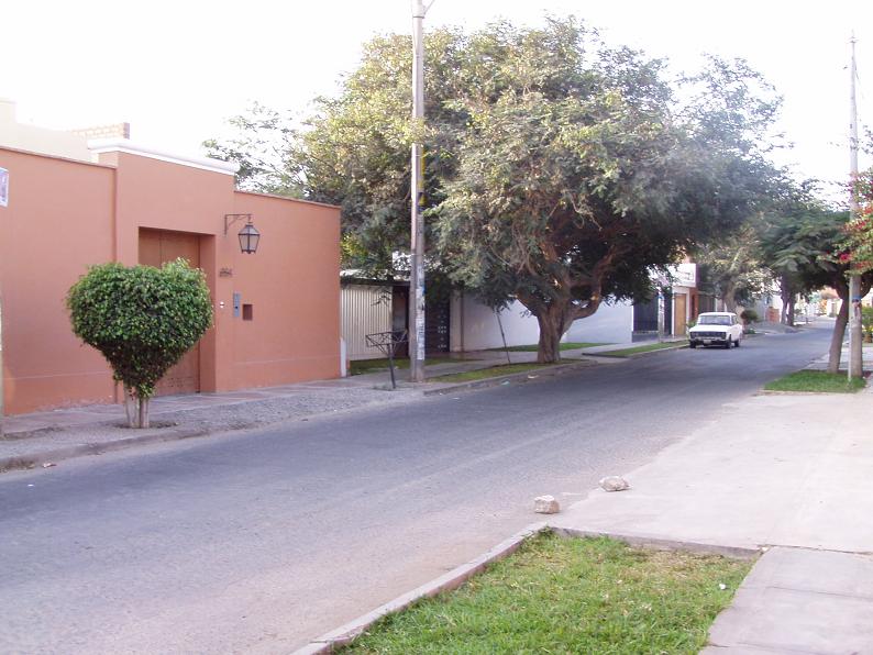 Foto de Trujillo, Perú