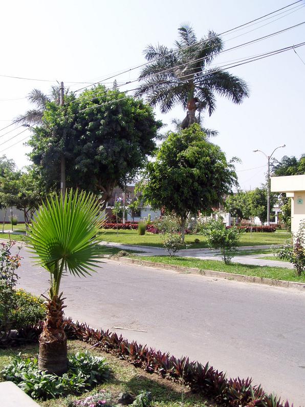 Foto de Trujillo, Perú