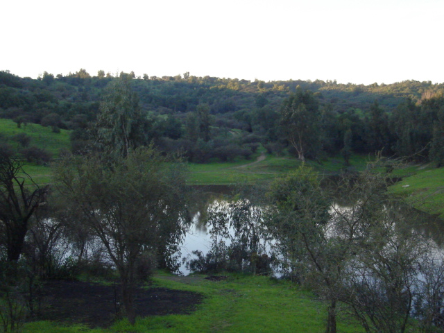 Foto de VILLA ALEMANA, Chile