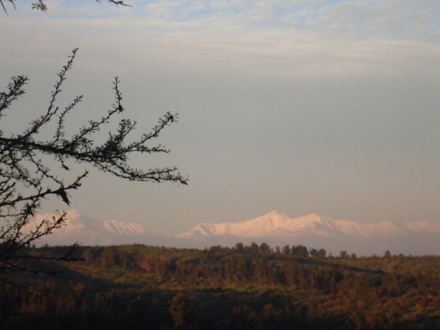 Foto de VILLA ALEMANA, Chile