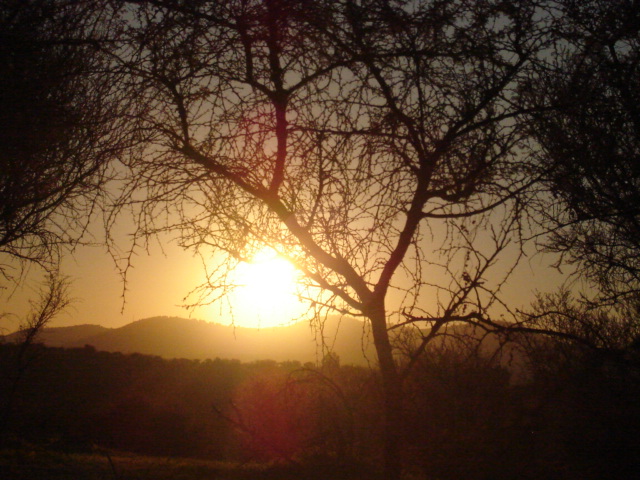 Foto de VILLA ALEMANA, Chile