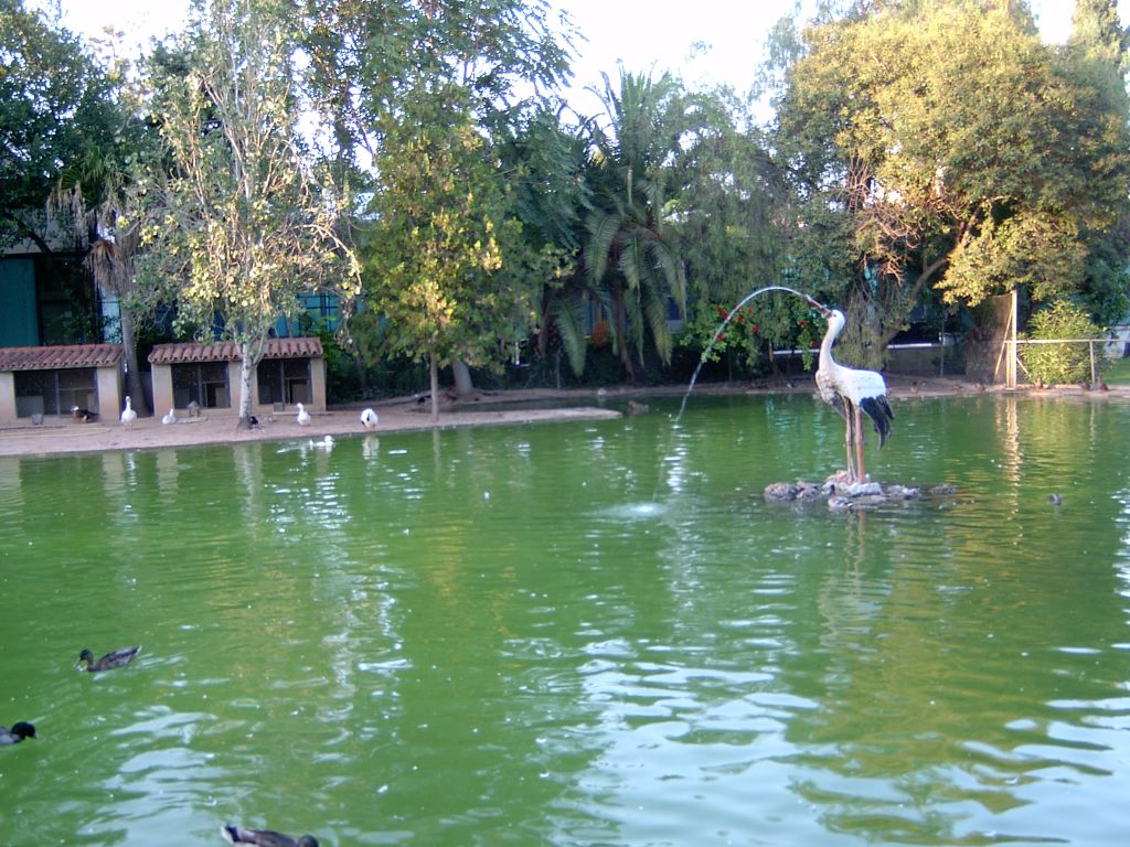 Foto de Valencia (València), España