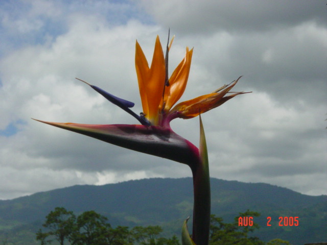 Foto de Siguatepeque, Honduras