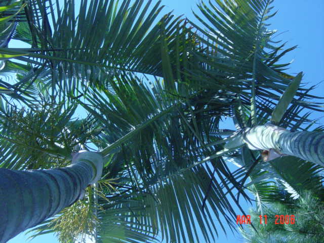 Foto de Siguatepeque, Honduras