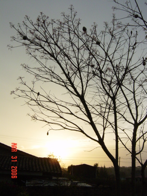 Foto de Siguatepeque, Honduras